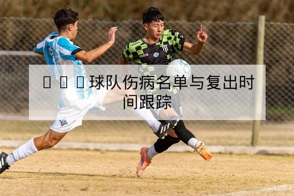 CBA球队伤病名单与复出时间跟踪