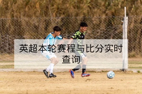 中超主客场积分对比与保级概率查询
