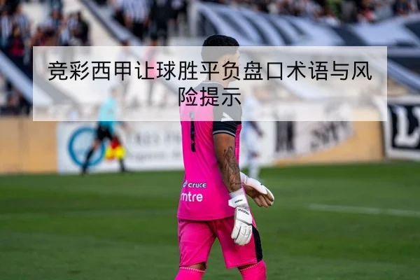中超主客场积分对比与保级概率查询